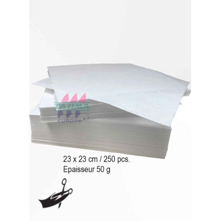 E-ZEEWEB 50g 23x23cm 250 pièces